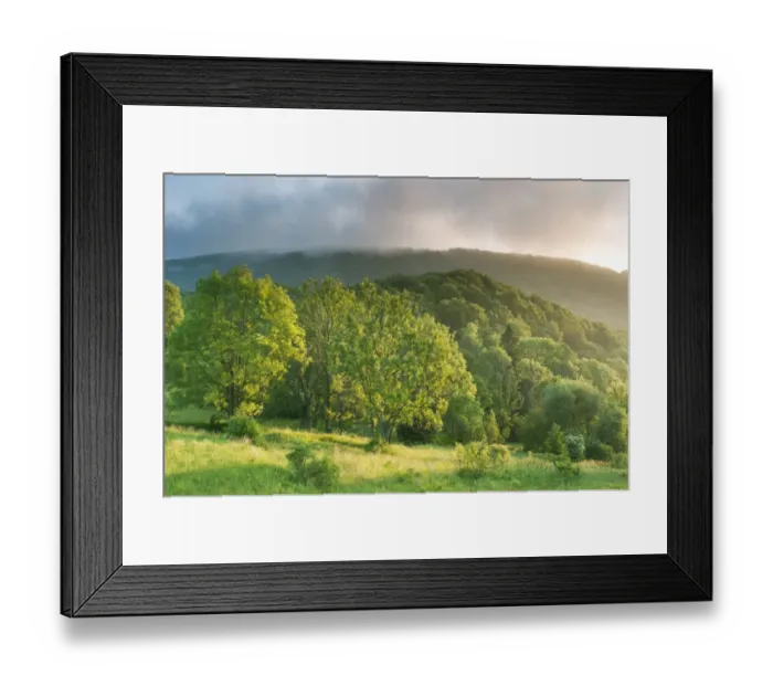 Framed Print : View of montane meadow and forest habitat at sunrise, Bieszczady N. P. Bieszczady Mountains, Outer Eastern Carpathians Framed Print : View of montane meadow and forest habitat at sunrise, Bieszczady N. P. Bieszczady Mountains, Outer Eastern Carpathians
