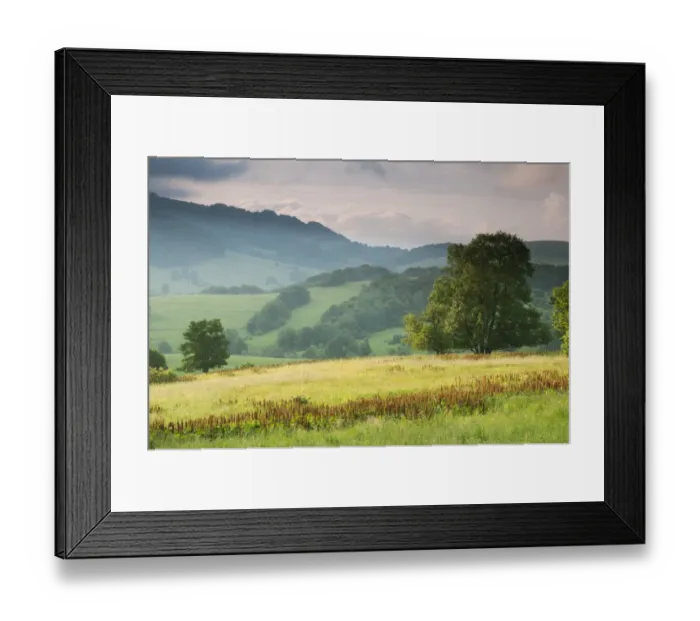 Framed Print : View of montane meadow habitat at sunrise, Bieszczady N. P. Bieszczady Mountains, Outer Eastern Carpathians, Poland Framed Print : View of montane meadow habitat at sunrise, Bieszczady N. P. Bieszczady Mountains, Outer Eastern Carpathians, Poland
