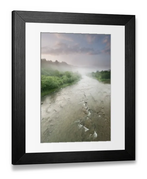 Framed Print : View of river and forest at sunrise, River San, Bieszczady N. P. Bieszczady Mountains, Outer Eastern Carpathians Framed Print : View of river and forest at sunrise, River San, Bieszczady N. P. Bieszczady Mountains, Outer Eastern Carpathians