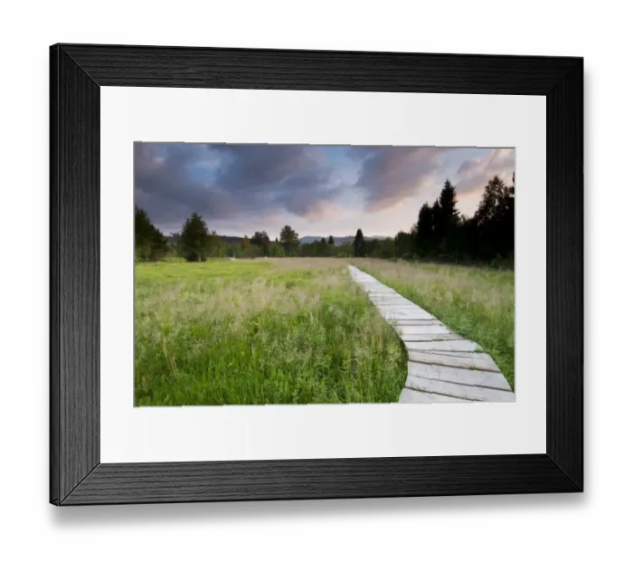 Framed Print : Boardwalk across raised peatland bog habitat, Tarnawa Wyzna, Bieszczady N. P Framed Print : Boardwalk across raised peatland bog habitat, Tarnawa Wyzna, Bieszczady N. P