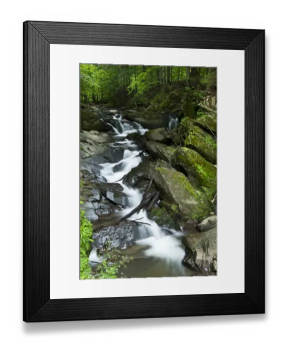 Framed Print : Waterfall in forest habitat, Bieszczady N. P. Bieszczady Mountains, Outer Eastern Carpathians, Poland, June Framed Print : Waterfall in forest habitat, Bieszczady N. P. Bieszczady Mountains, Outer Eastern Carpathians, Poland, June
