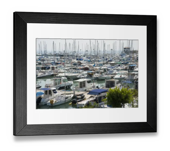 Framed Print : Boats moored at floating docks in harbour, Port d Alcudia, Alcudia, Majorca, Balearic Islands, Spain, September Framed Print : Boats moored at floating docks in harbour, Port d Alcudia, Alcudia, Majorca, Balearic Islands, Spain, September