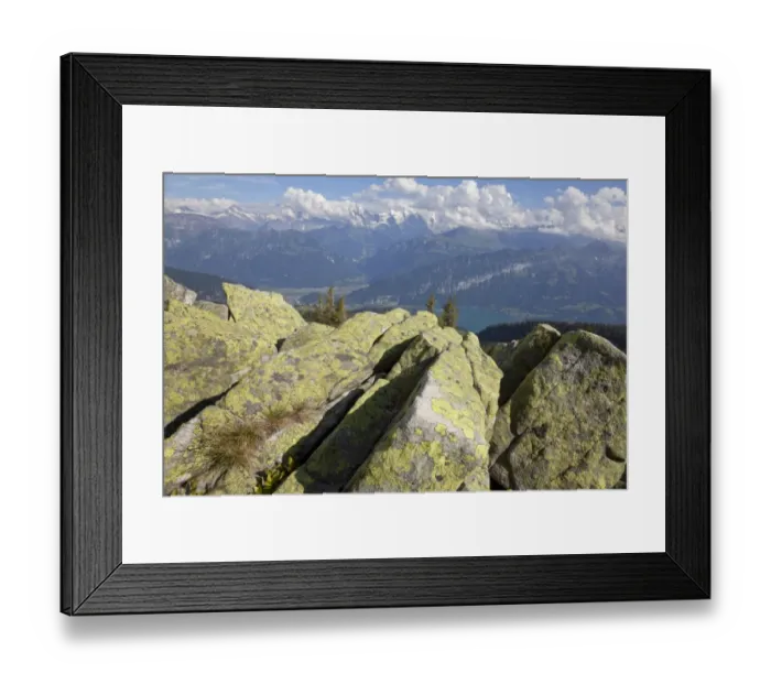 Framed Print : Lichen covered rocks and lake in mountain landscape, Lake Thun, Niederhorn, Swiss Alps, Bernese Oberland, Switzerland Framed Print : Lichen covered rocks and lake in mountain landscape, Lake Thun, Niederhorn, Swiss Alps, Bernese Oberland, Switzerland