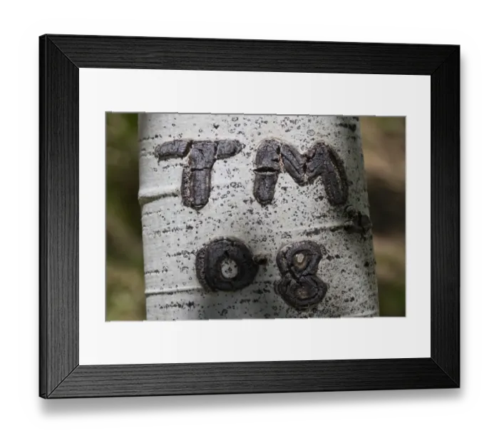 Framed Print : Graffiti carved on Aspen tree Framed Print : Graffiti carved on Aspen tree