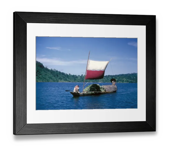 Framed Print : sampan transport boat in Bangladesh moving bananas, taken in the 1960s by Eric Hosking when the country was known as