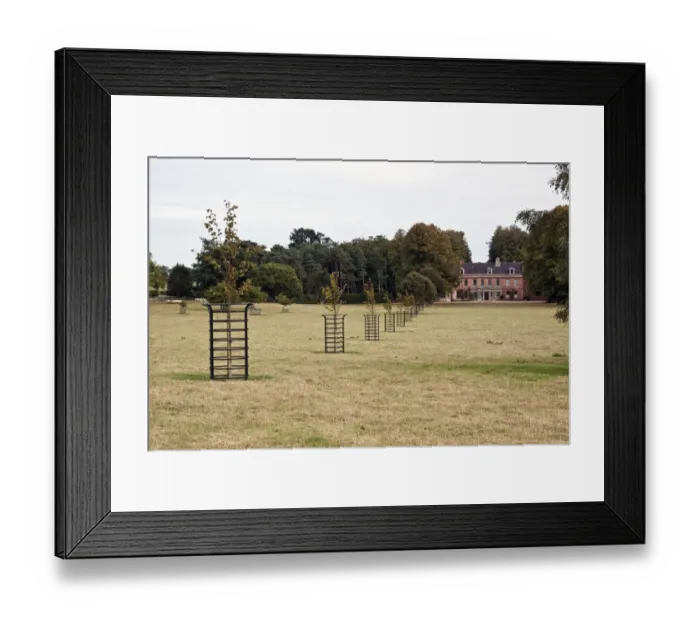 Framed Print : Metal tree protectors, stop livestock from damaging young trees on parkland, in the grounds of Darsham Hall Suffolk Framed Print : Metal tree protectors, stop livestock from damaging young trees on parkland, in the grounds of Darsham Hall Suffolk