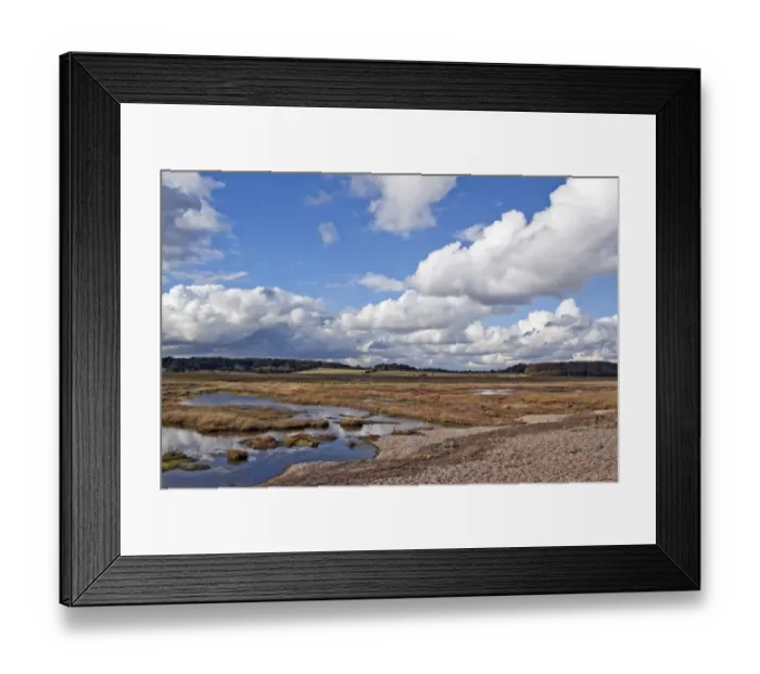 Framed Print : Dingle Marshes jointly owned by the Suffolk Wildlife Trust and the RSPB Framed Print : Dingle Marshes jointly owned by the Suffolk Wildlife Trust and the RSPB