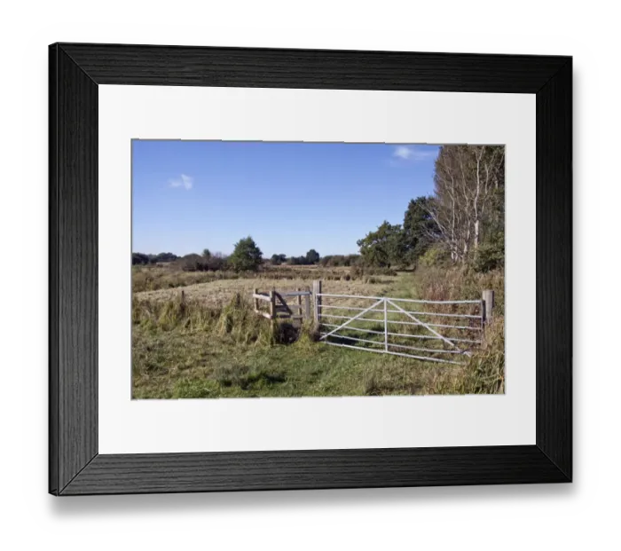 Framed Print : Footpath through Darsham Marsh, a marshland habitat owned by the Suffolk Wildlife Trust