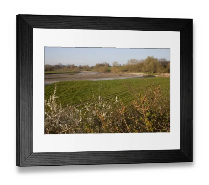 Framed Print : View of river with gravel banks, River Severn, Dolydd Hafren Nature Reserve, Montgomeryshire Wildlife Trust, Powys Framed Print : View of river with gravel banks, River Severn, Dolydd Hafren Nature Reserve, Montgomeryshire Wildlife Trust, Powys