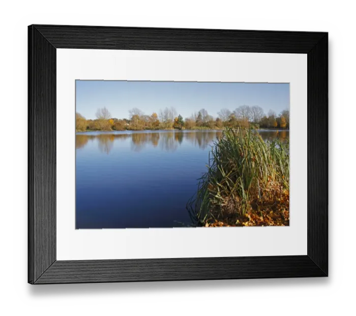 Framed Print : View of flooded former gravel pit habitat, Needham Lake, Needham Lake Local Nature Reserve, Needham, Suffolk, England Framed Print : View of flooded former gravel pit habitat, Needham Lake, Needham Lake Local Nature Reserve, Needham, Suffolk, England