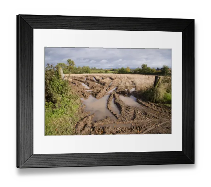 Framed Print : Machinery ruts and puddles in field gateway, Scotby, Carlisle, Cumbria, England, October Framed Print : Machinery ruts and puddles in field gateway, Scotby, Carlisle, Cumbria, England, October