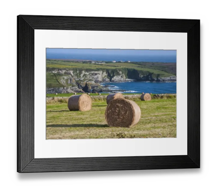 Framed Print : Big round hay bales in coastal meadow, near Holyhead, Holy Island, Anglesey, Wales, August