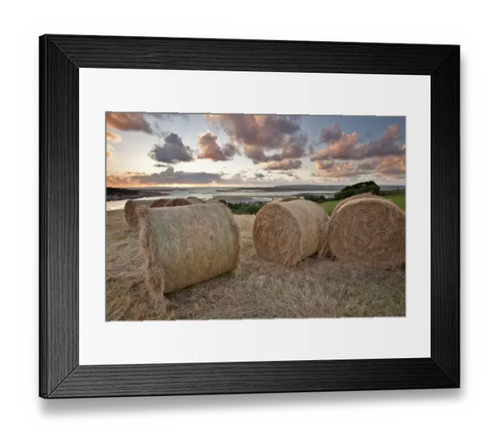 Framed Print : Big round hay bales in coastal meadow at sunset, overlooking Instow and Taw and Torridge Rivers, North Devon, England Framed Print : Big round hay bales in coastal meadow at sunset, overlooking Instow and Taw and Torridge Rivers, North Devon, England