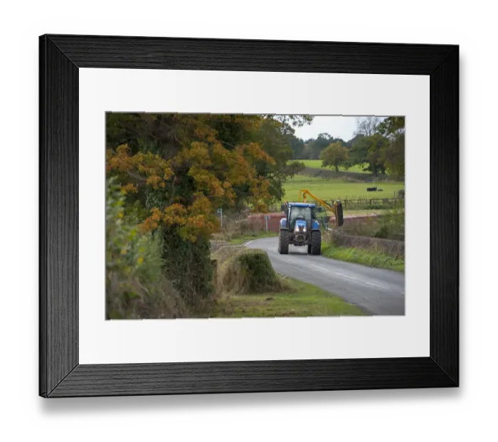 Framed Print : Mechanised hedge cutting, tractor with flail cutting hedgerow beside road, Tattenhall, Cheshire, England, November Framed Print : Mechanised hedge cutting, tractor with flail cutting hedgerow beside road, Tattenhall, Cheshire, England, November