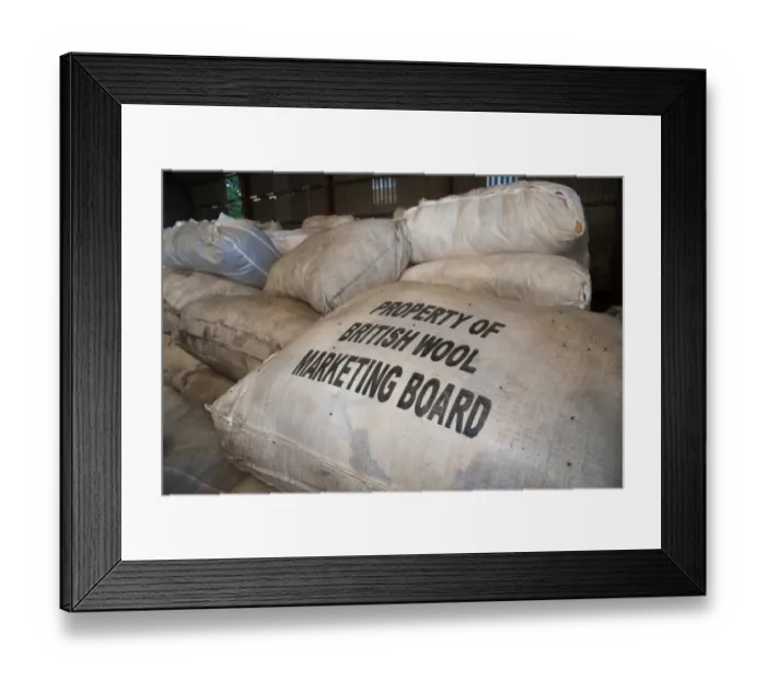 Framed Print : Wool bags ready for transport to British Wool Marketing Board Bradford Centre, Jervaulx, Masham, Ripon Framed Print : Wool bags ready for transport to British Wool Marketing Board Bradford Centre, Jervaulx, Masham, Ripon