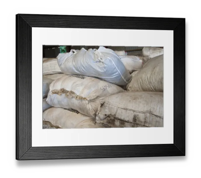 Framed Print : Wool bags ready for transport to British Wool Marketing Board Bradford Centre, Jervaulx, Masham, Ripon Framed Print : Wool bags ready for transport to British Wool Marketing Board Bradford Centre, Jervaulx, Masham, Ripon