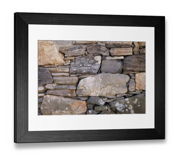 Framed Print : Close-up of drystone wall at abandoned croft, Unst, Shetland Islands, Scotland, June