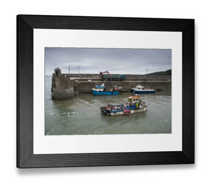 Framed Print : Fishing boat entering harbour, with whelks unloaded from fishing boat onto lorry, Saundersfoot, Pembrokeshire, Wales Framed Print : Fishing boat entering harbour, with whelks unloaded from fishing boat onto lorry, Saundersfoot, Pembrokeshire, Wales