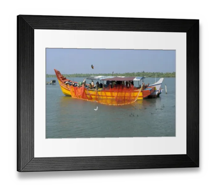 Framed Print : Fishing boat with fishermen rolling back nets in brackish lagoon after day fishing at sea, Kollam, Alleppey Backwaters Framed Print : Fishing boat with fishermen rolling back nets in brackish lagoon after day fishing at sea, Kollam, Alleppey Backwaters