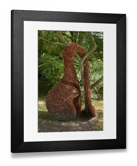 Framed Print : Modern contemporary wicker sculpture in garden of stately home, Chatsworth House, Derbyshire, England, August