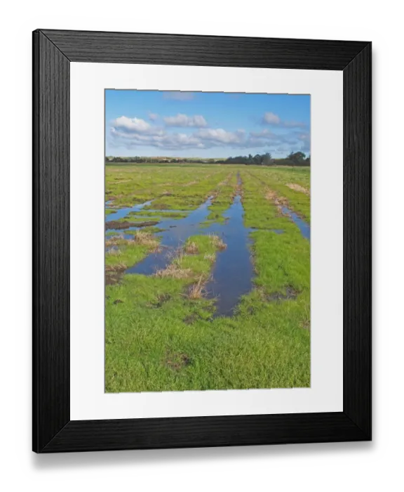 Framed Print : View across newly created Higher Level Stewardship scheme land on former arable field Framed Print : View across newly created Higher Level Stewardship scheme land on former arable field
