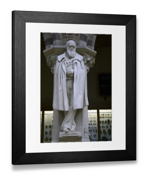 Framed Print : Statue of Charles Darwin, Oxford University Museum of Natural History, Oxford, Oxfordshire, England Framed Print : Statue of Charles Darwin, Oxford University Museum of Natural History, Oxford, Oxfordshire, England