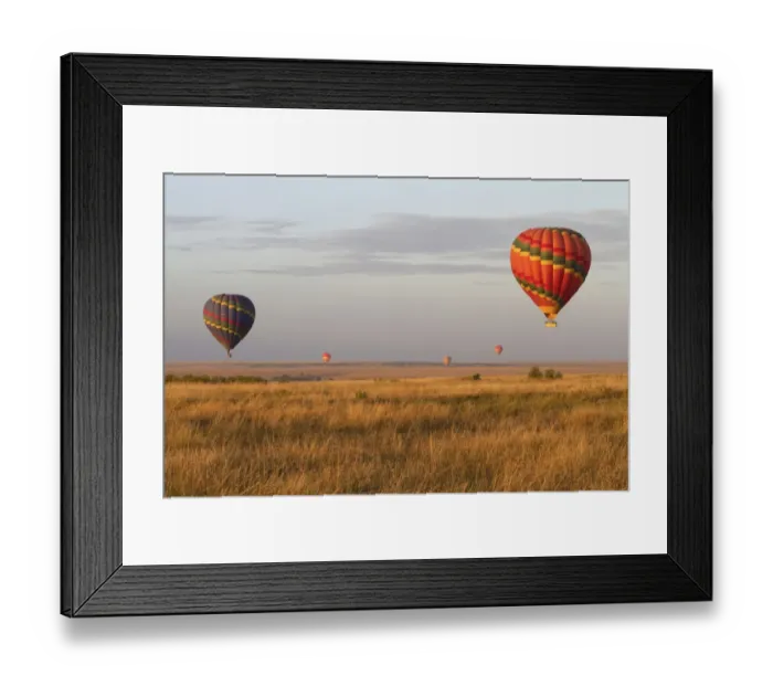 Framed Print : Ballooning, hot-air balloons over savannah habitat, Masai Mara, Kenya, August Framed Print : Ballooning, hot-air balloons over savannah habitat, Masai Mara, Kenya, August