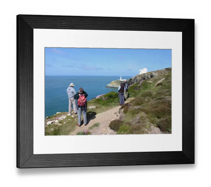 Framed Print : Birdwatchers overlooking coastline, Ellins Tower, South Stack Lighthouse, RSPB South Stack Cliffs, Anglesey, Wales, may
