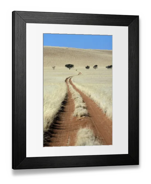 Framed Print : Tracks Tracks of 4 x 4 vehicles cut through bushman grass in the Namib Desert, Namibia Framed Print : Tracks Tracks of 4 x 4 vehicles cut through bushman grass in the Namib Desert, Namibia