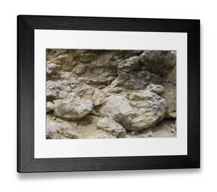 Framed Print : Silurian limestone in quarry, showing reef formation, Wenlock Edge, Shropshire, England, April Framed Print : Silurian limestone in quarry, showing reef formation, Wenlock Edge, Shropshire, England, April