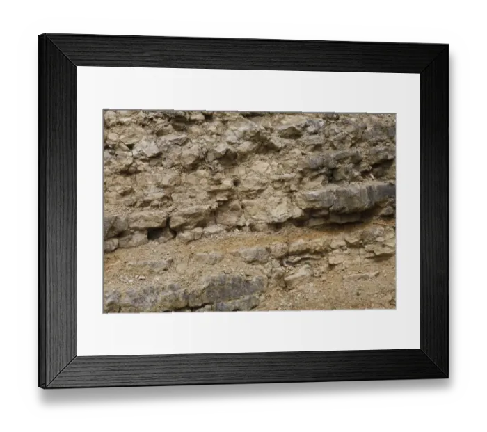 Framed Print : Silurian limestone in quarry, showing bedding, Wenlock Edge, Shropshire, England, April Framed Print : Silurian limestone in quarry, showing bedding, Wenlock Edge, Shropshire, England, April