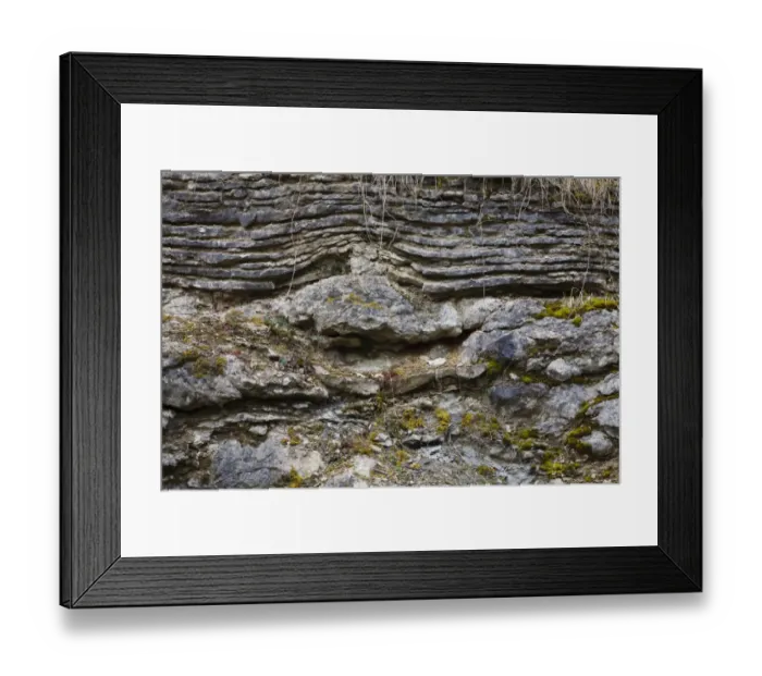 Framed Print : Silurian limestone in quarry, showing layered bedding over reef formation, Knowle Quarry, Wenlock Edge, Shropshire