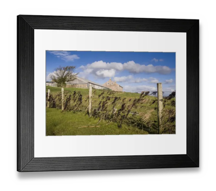 Framed Print : Stock fence with seaweed indicating height of tide, Cockerham, Lancashire, England, October Framed Print : Stock fence with seaweed indicating height of tide, Cockerham, Lancashire, England, October