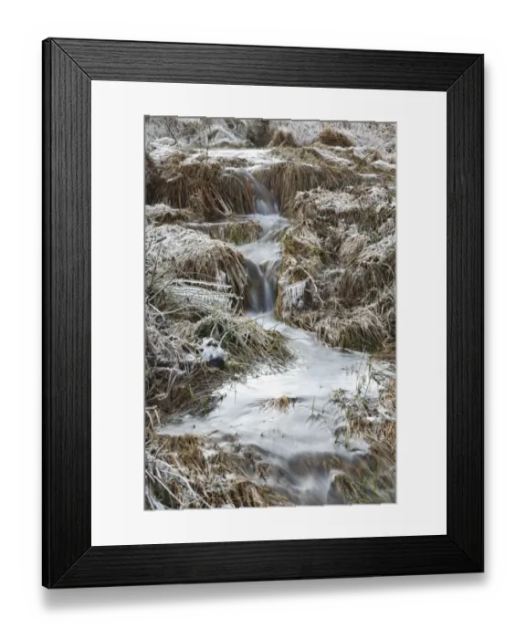 Framed Print : Ice and frost around cascades in upland stream, Powys, Wales, January