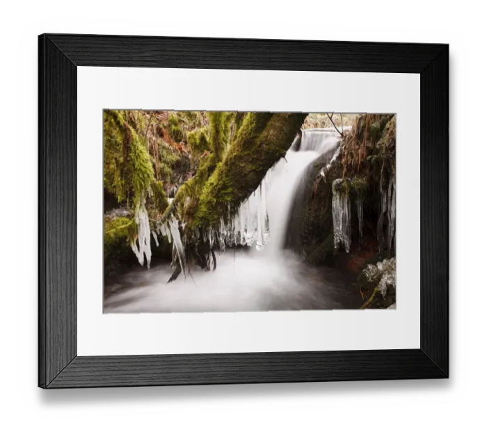 Framed Print : Icicles hanging from branches over cascade in upland stream, Powys, Wales, February Framed Print : Icicles hanging from branches over cascade in upland stream, Powys, Wales, February