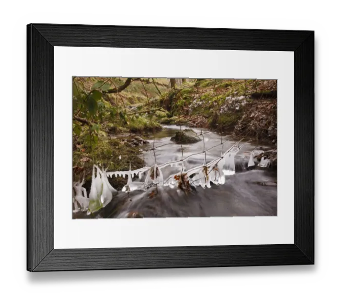 Framed Print : Icicles hanging from wire fence over upland stream, Powys, Wales, February Framed Print : Icicles hanging from wire fence over upland stream, Powys, Wales, February