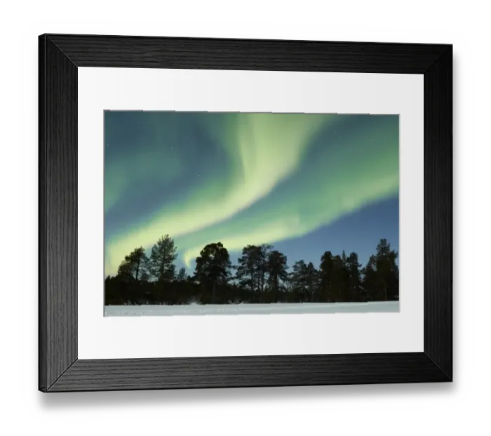 Framed Print : Aurora Borealis, over snow covered coniferous forest at night, Northern Finland, March Framed Print : Aurora Borealis, over snow covered coniferous forest at night, Northern Finland, March