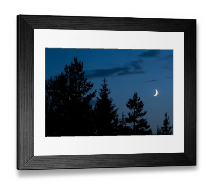 Framed Print : Waxing Crescent Moon, above spruce forest at night, Bieszczady N. P. Bieszczady Mountains, Outer Eastern Carpathians Framed Print : Waxing Crescent Moon, above spruce forest at night, Bieszczady N. P. Bieszczady Mountains, Outer Eastern Carpathians