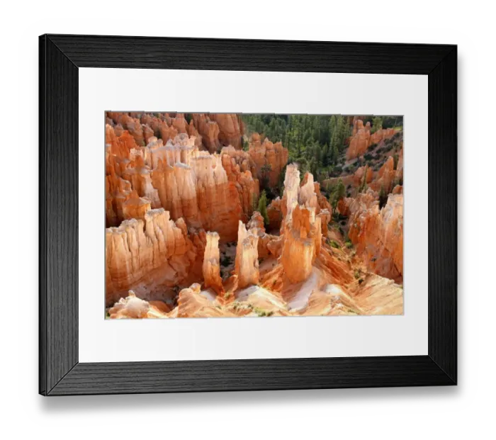 Framed Print : View of hoodoos and cliffs at dawn, rock erosion in natural amphitheatre, Bryce Canyon, Bryce Canyon N. P. Utah, U. S. A Framed Print : View of hoodoos and cliffs at dawn, rock erosion in natural amphitheatre, Bryce Canyon, Bryce Canyon N. P. Utah, U. S. A