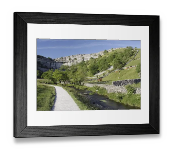 Framed Print : View of path beside stream, drystone walls, pasture with grazing cattle and limestone cliff, Malham Cove, Malhamdale Framed Print : View of path beside stream, drystone walls, pasture with grazing cattle and limestone cliff, Malham Cove, Malhamdale