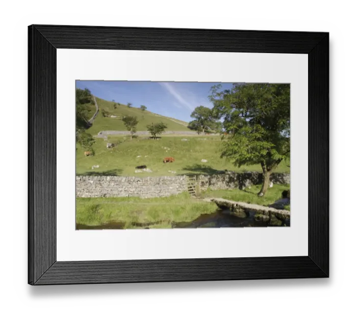 Framed Print : View of stream with bridge, drystone wall with gate and pasture with grazing cattle, Malham Cove, Malhamdale Framed Print : View of stream with bridge, drystone wall with gate and pasture with grazing cattle, Malham Cove, Malhamdale