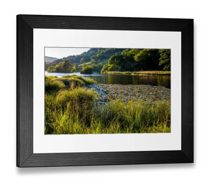 Framed Print : View of lake in evening sunlight, Rydal Water, Rothay Valley, Ambleside, Lake District N. P. Cumbria, England, August Framed Print : View of lake in evening sunlight, Rydal Water, Rothay Valley, Ambleside, Lake District N. P. Cumbria, England, August