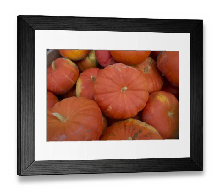 Framed Print : Pumpkin (Cucurbita sp. ) harvested crop in pile, near Pouzay, Indre-et-Loire, Central France, September Framed Print : Pumpkin (Cucurbita sp. ) harvested crop in pile, near Pouzay, Indre-et-Loire, Central France, September