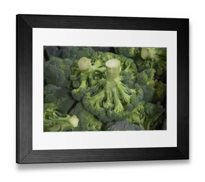 Framed Print : Broccoli (Brassica oleracea) cut flowerheads in farm shop, Cheshire, England, February Framed Print : Broccoli (Brassica oleracea) cut flowerheads in farm shop, Cheshire, England, February