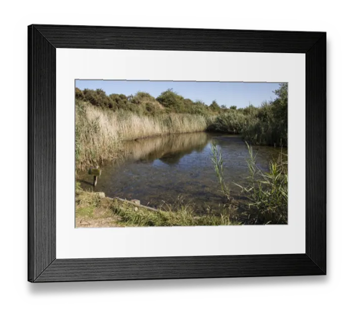 Framed Print : Kits Pond at Fingringhoe Wick Nature Reserve Framed Print : Kits Pond at Fingringhoe Wick Nature Reserve