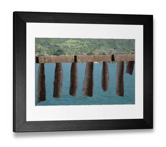 Framed Print : Drying freshwater fish, Monte Isola, Lago d Iseo, Lombardy, Italy, May Framed Print : Drying freshwater fish, Monte Isola, Lago d Iseo, Lombardy, Italy, May