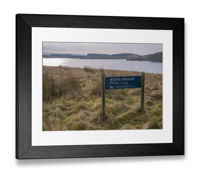 Framed Print : Wildlife Sanctuary sign at edge of reservoir, Stocks Reservoir, Gisburn Forest, Forest of Bowland, Lancashire, England Framed Print : Wildlife Sanctuary sign at edge of reservoir, Stocks Reservoir, Gisburn Forest, Forest of Bowland, Lancashire, England