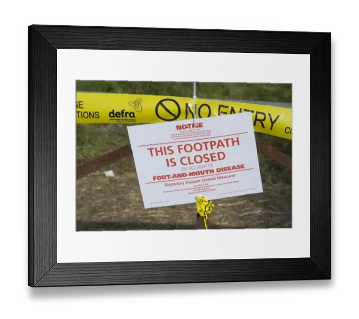 Framed Print : This Footpath is Closed on Account of Foot and Mouth Disease sign on gate in farmland, Surrey, England, September 2007