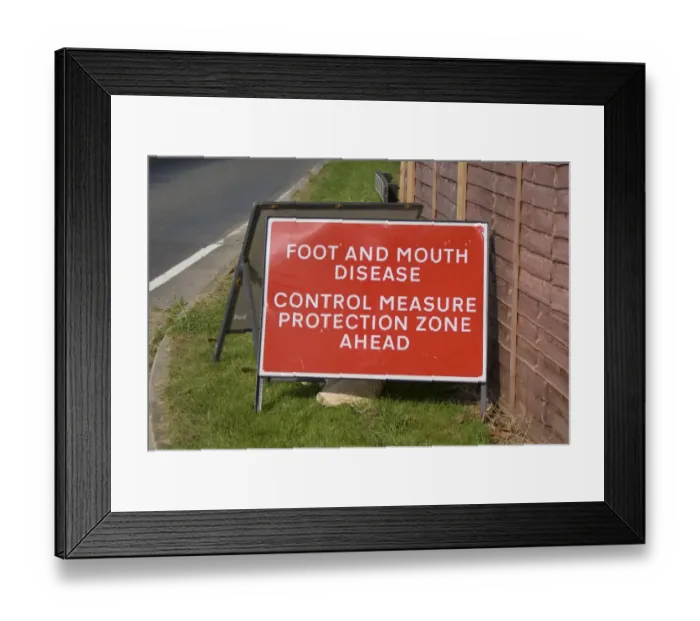 Framed Print : Foot And Mouth Disease, Control Measure Protection Zone Ahead sign at roadside, Surrey, England, September 2007 Framed Print : Foot And Mouth Disease, Control Measure Protection Zone Ahead sign at roadside, Surrey, England, September 2007