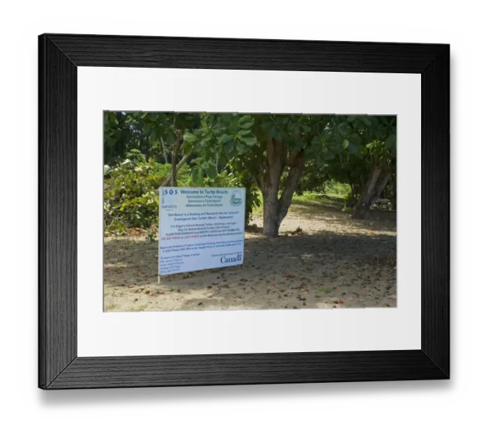 Framed Print : This Beach is a Nesting and Research Site for Critically Endangered Sea Turtles sign, Turtle Beach, Corlands Bay